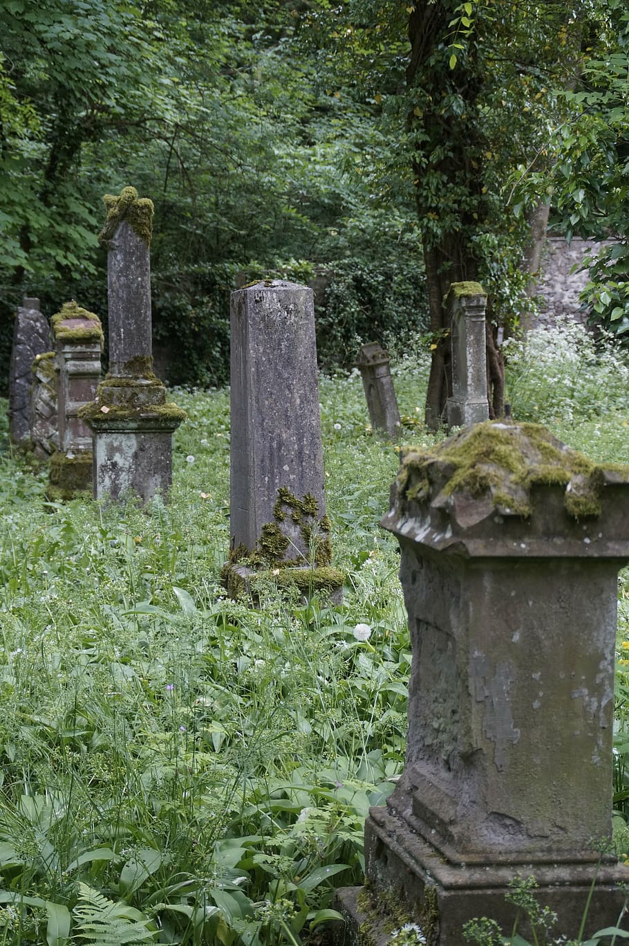 Beautiful Graveyard in Azad Kashmir, Pakistan