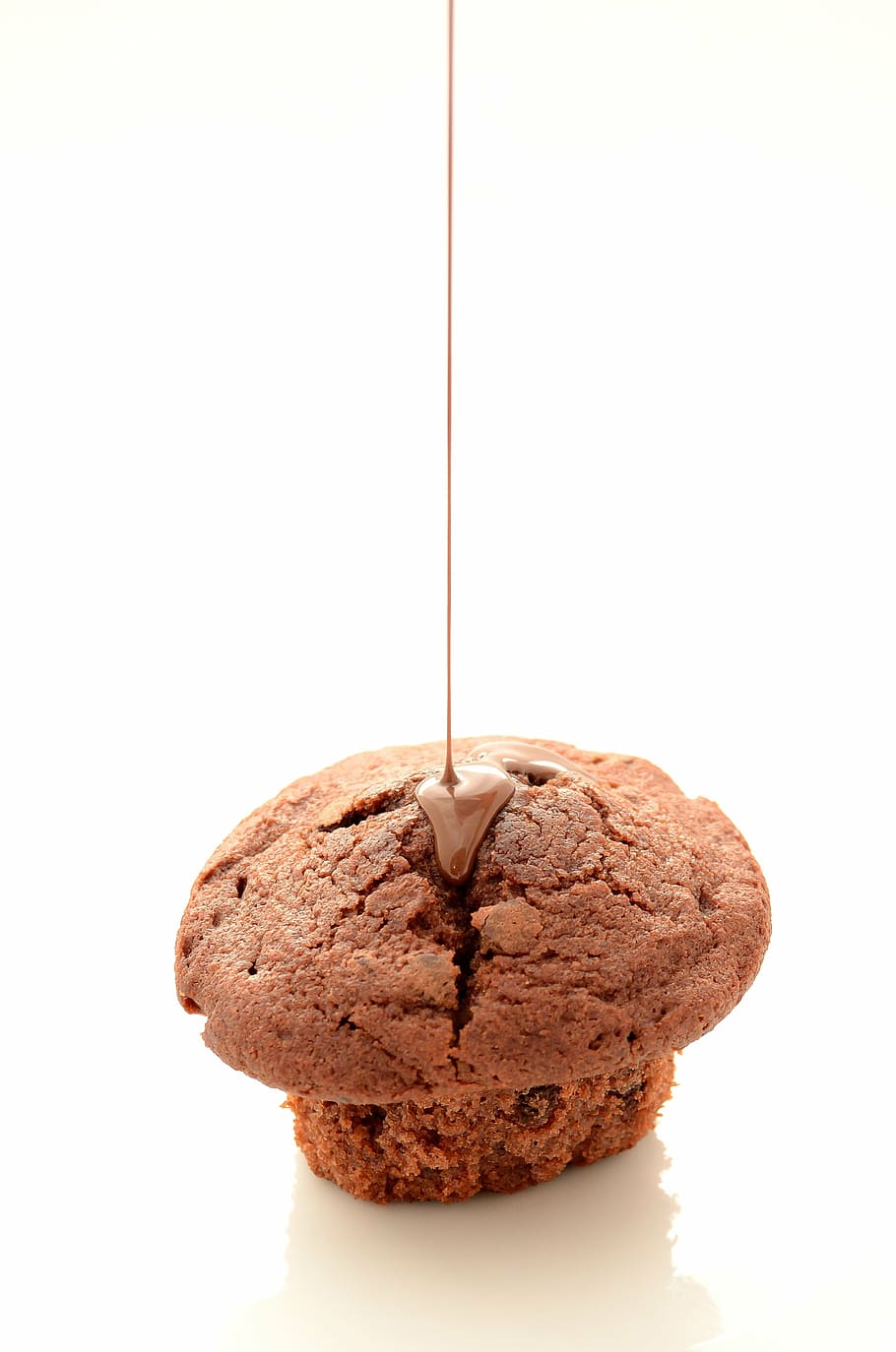 brow cupcake, bun, chocolate, sweets, dessert, eating, cocoa HD wallpaper