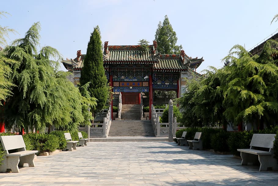 china, shaanxi, museum, plant, architecture, tree, built structure HD wallpaper