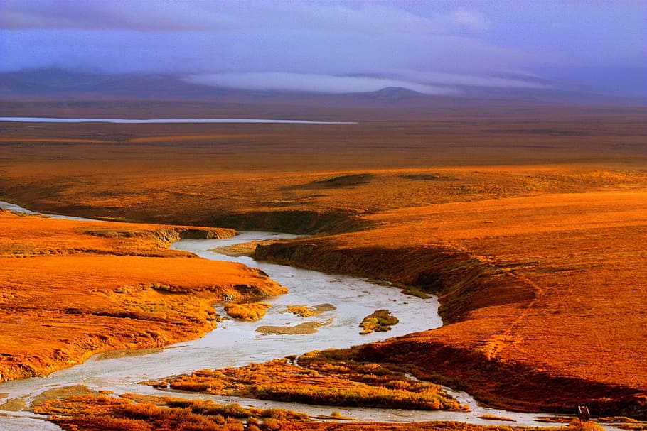 landscape photo of river, scenic, pilgrim river, alaska, usa, HD wallpaper