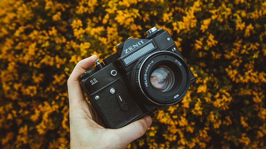person holding black Zenit camera, black Zenit MILC, hand, bush HD wallpaper