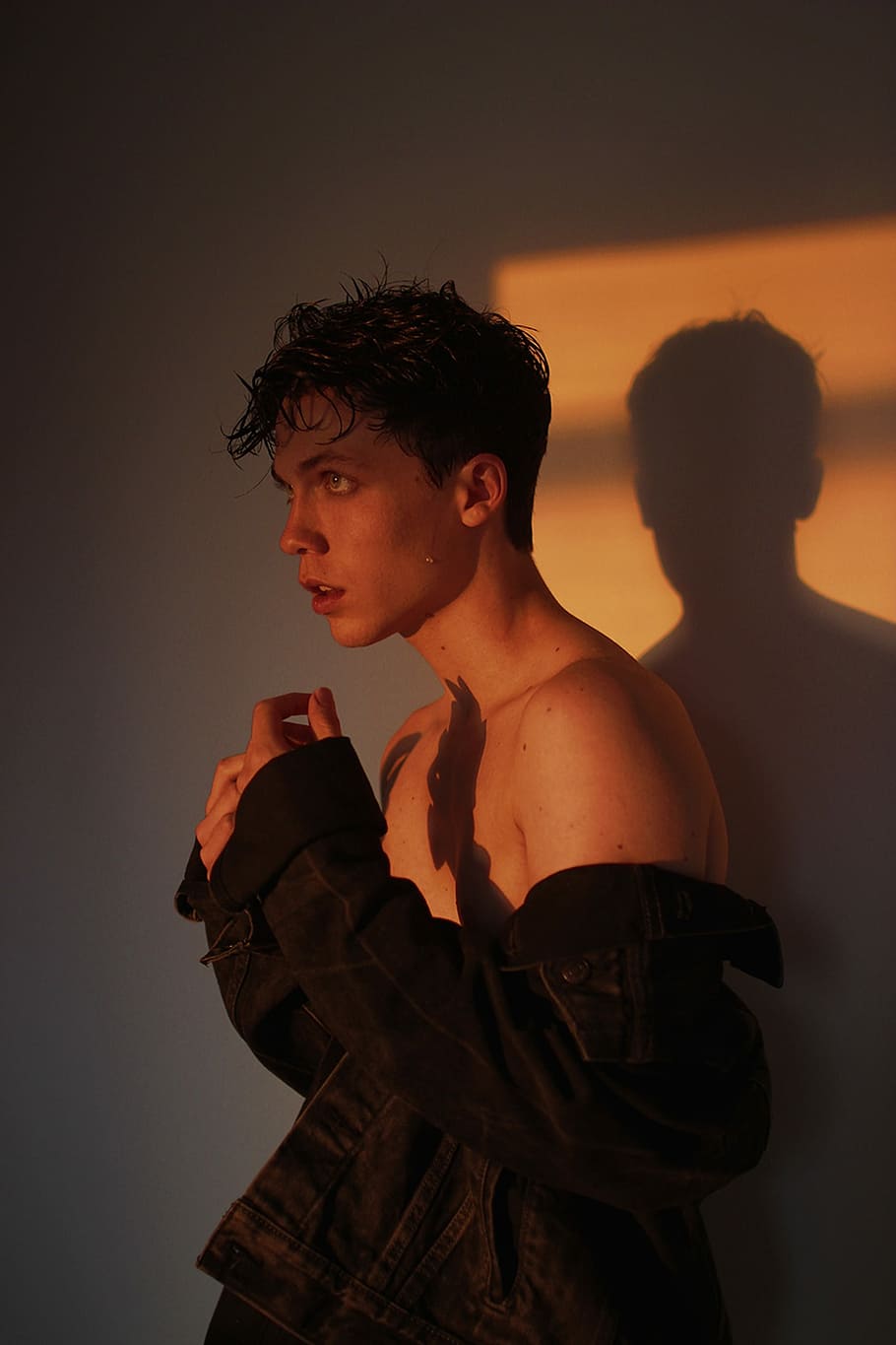 man wearing black jacket, man inside the room, portrait, sunlight HD wallpaper