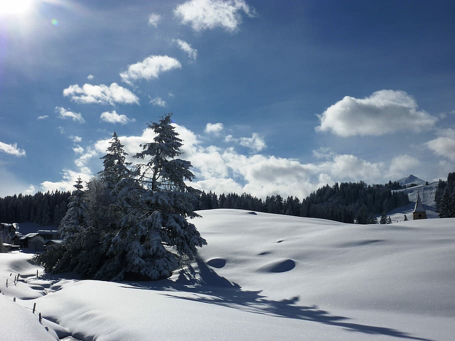 Winter, Snow, Wintry, Cold, Landscape, snowy, winter cold, switzerland HD wallpaper