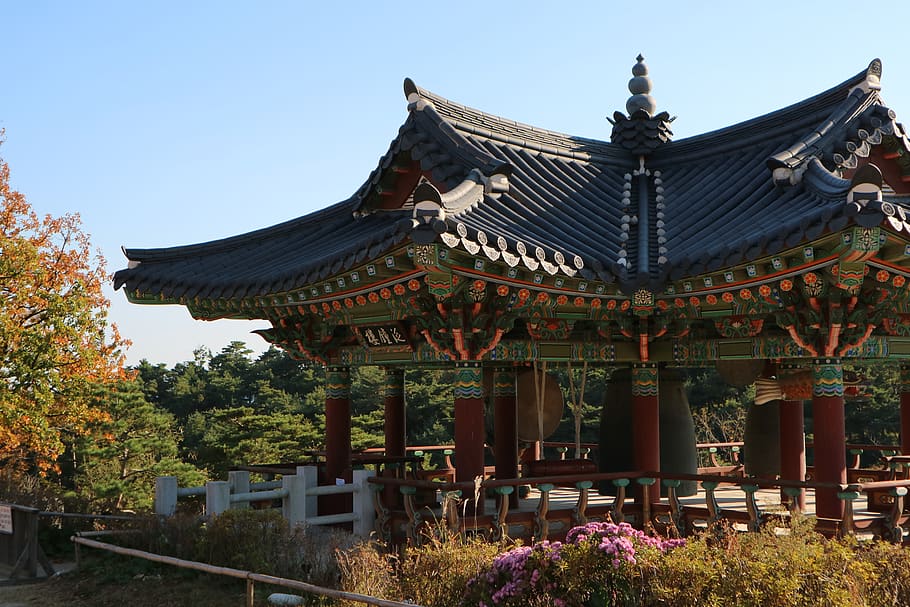 shrine, top, travel, structure, architecture, built structure HD wallpaper