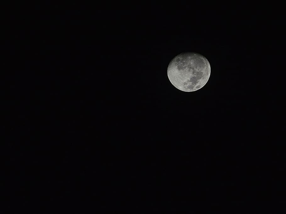 moon, night, space, grey, astronomy, moon Surface, moonlight HD wallpaper