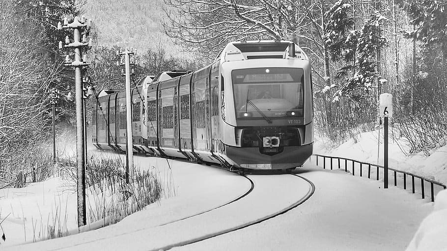 train, railway, transport system, tree, winter, transportation HD wallpaper