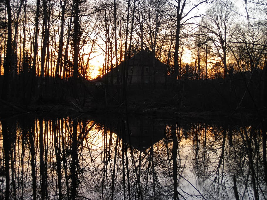 sunset, evening, lake, mirroring, home, forest, landscape, silhouette HD wallpaper