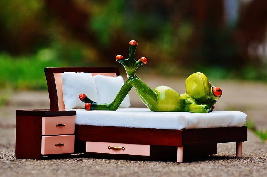 tree frog figuring lying on bed miniature, love, thoughts, figure HD wallpaper