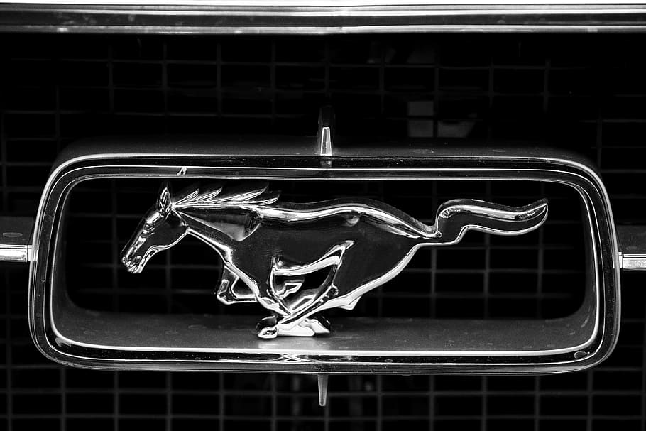 Hd Wallpaper Closeup Photo Of Ford Mustang Emblem Auto Logo Horse Automotive Wallpaper Flare