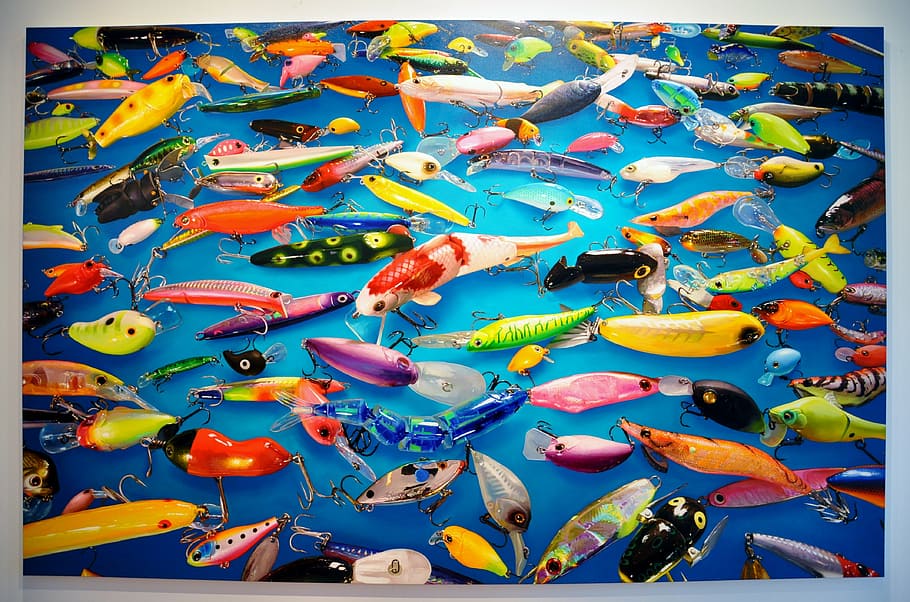 HD wallpaper: fishing lures painting, venice, biennial 2011, fishing hooks