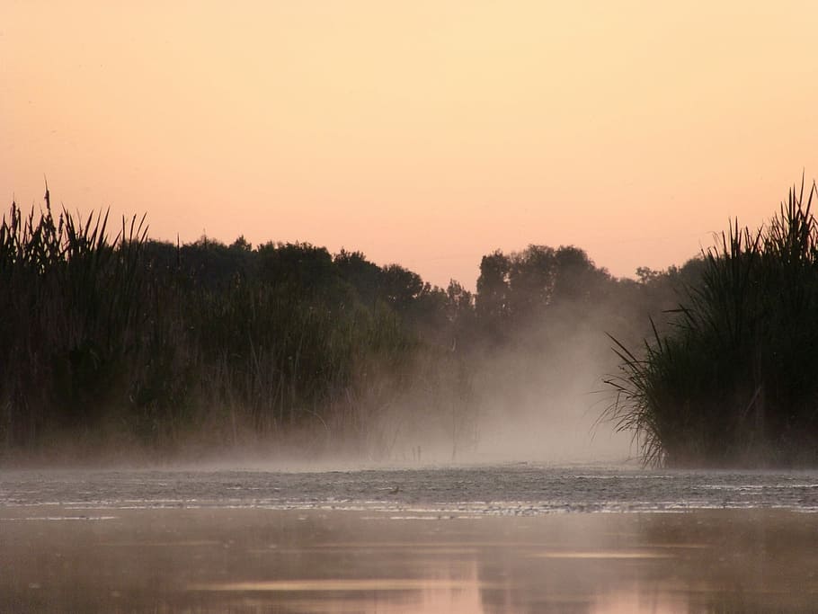 evening, mist, nature, river, sky, sunset, trees, water, landscape HD wallpaper