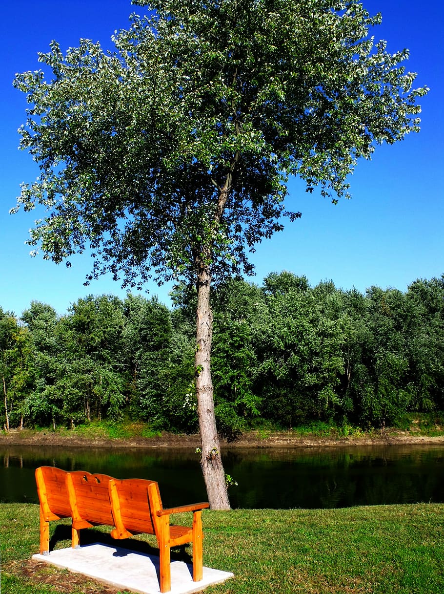 Bench, Tree, Wabash, River, Wooden, park, outdoor, grass, seat HD wallpaper