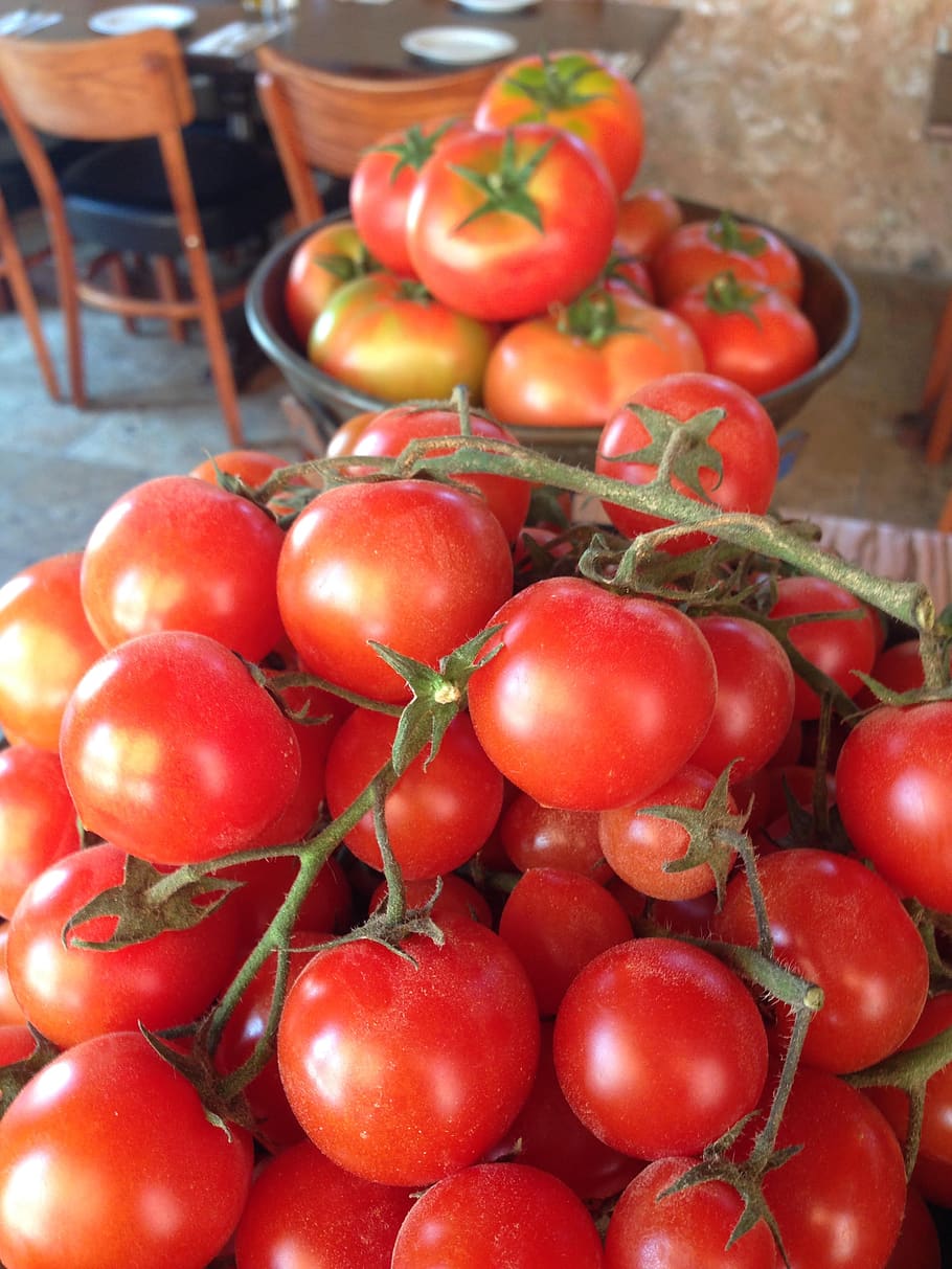 red, tomato, organic, fresh, vegetable, food and drink, freshness HD wallpaper