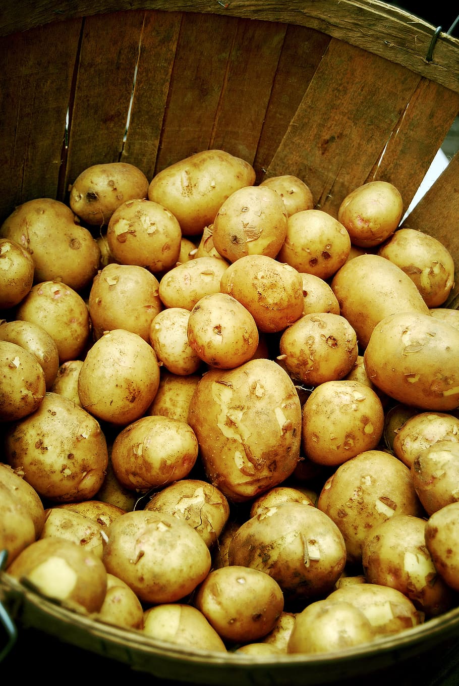 potatoes, vegetable, crop, farmer, market, nature, basket, barrel HD wallpaper