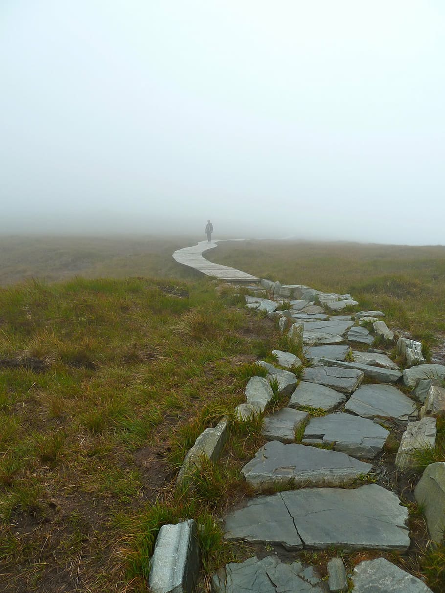 man walking in pathway in daytime, misty, fog, rock walkway HD wallpaper