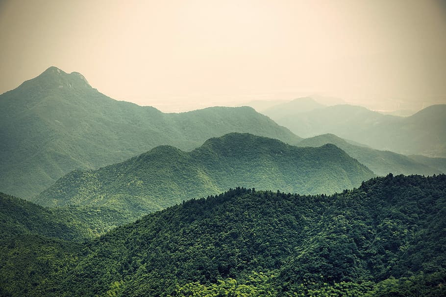 green trees, nature, mountain, hill, landscape, scenics, outdoors HD wallpaper