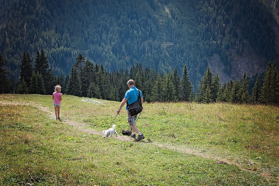 Hike, Hiking, Nature, Landscape, out, meadow, alpine meadow HD wallpaper