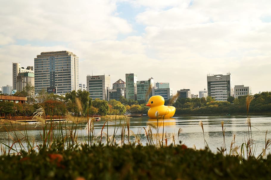 rubber duck, sky, river, landscape, nature, architecture, building exterior HD wallpaper