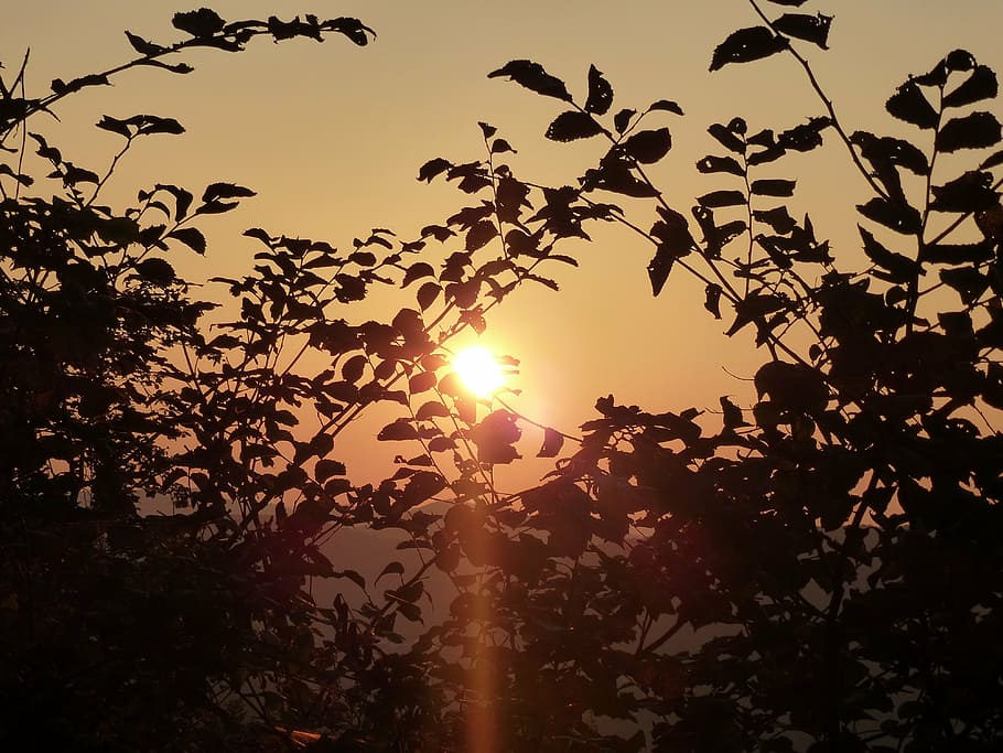 sunset, sky, evening sky, sunbeam, orange sky, morning, sunrise HD wallpaper