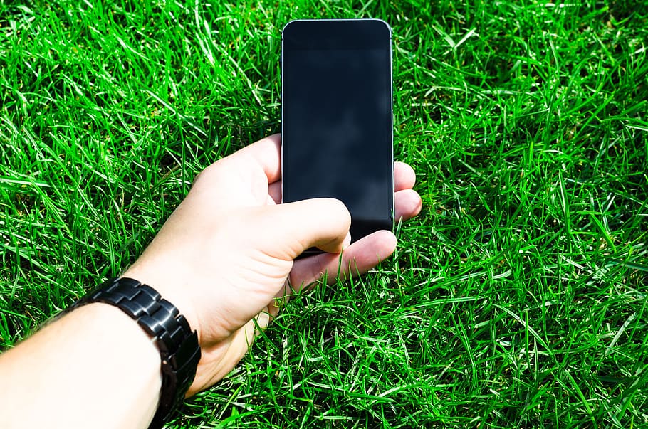 person holding black smartphone over green grass during daytime HD wallpaper