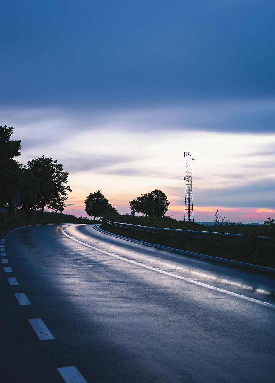 road under golden hour, gray asphalt road in between green trees at daytime HD wallpaper