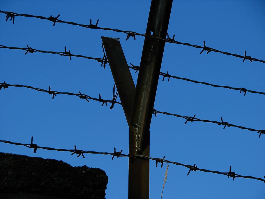 wire, barbed wire, fence, caught, pointed, sky, thorn, close HD wallpaper