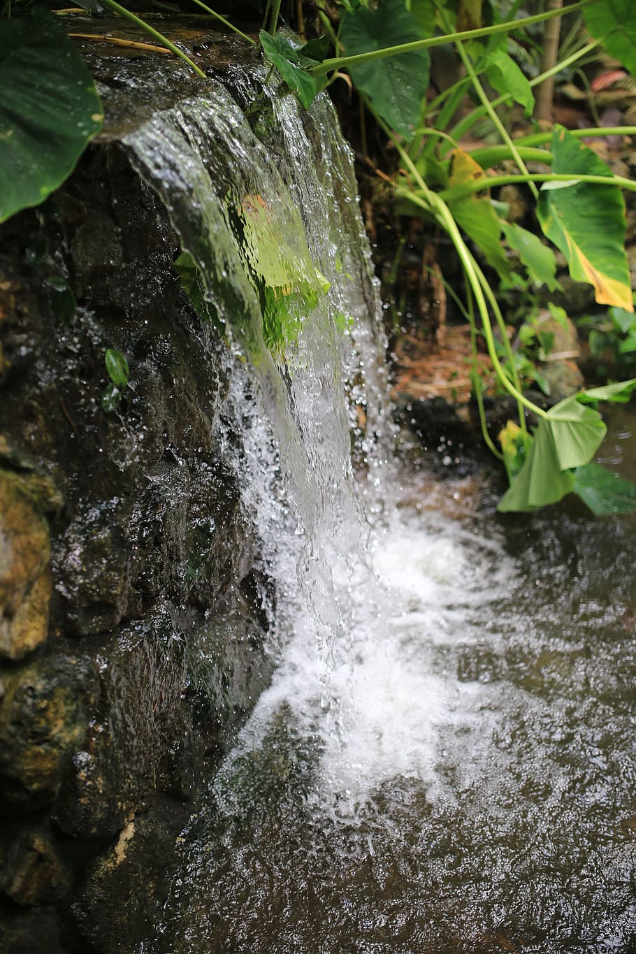 waterfalls, nature, stream, landscape, cascade, green, natural HD wallpaper