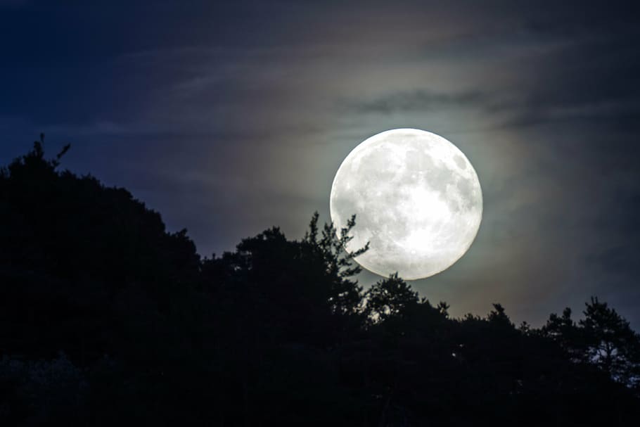 full moon during night, evening sky, moonlight, mood, night sky HD wallpaper