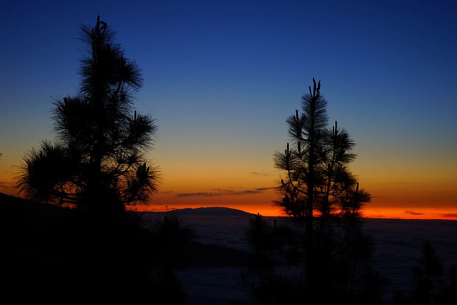 Sunset, Afterglow, Clouds, sky, selva marine, tenerife, canary islands HD wallpaper