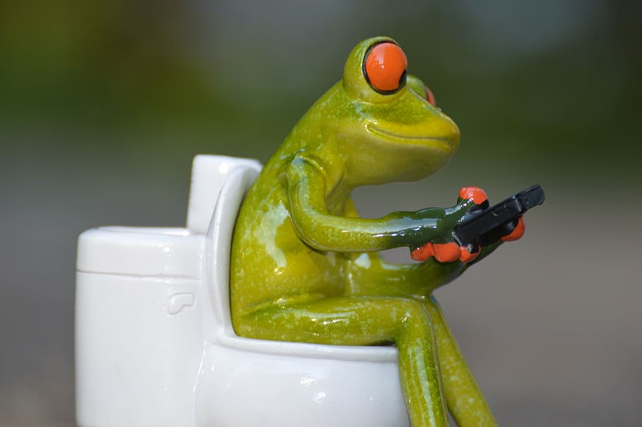 frog, mobile phone, toilet, loo, wc, funny, session, cute, animal, HD wallpaper