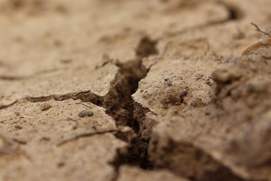macro photography of cracked soil, surface, land, drought, dry HD wallpaper