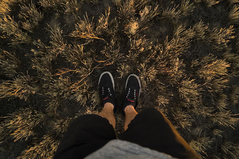 feet, grass, legs, man, person, shoes, low section, one person HD wallpaper