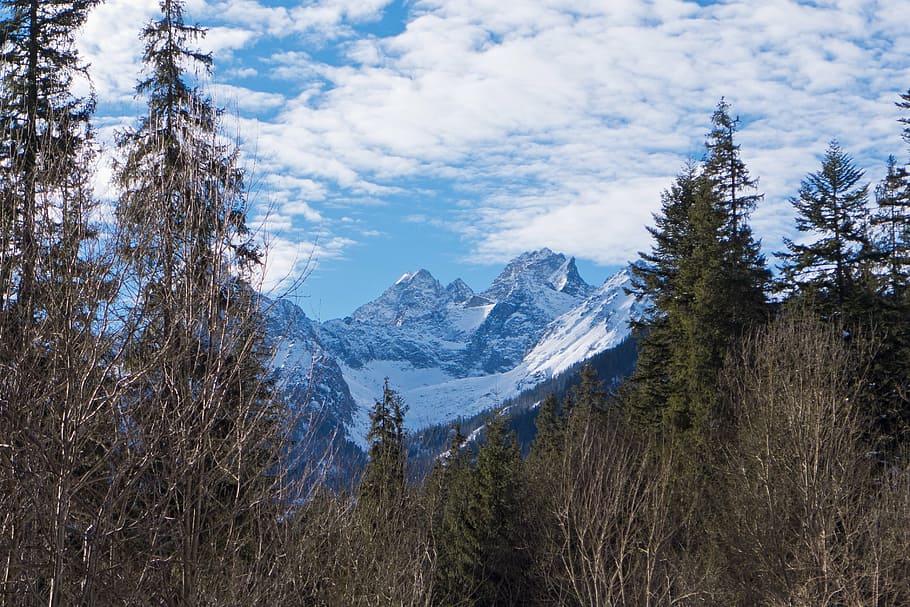 tatry, mountains, winter, forest, sky, clouds, snow, landscape HD wallpaper