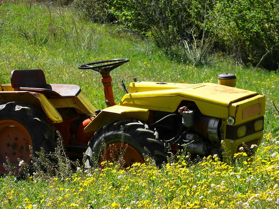 Old, Tractor, Prado, Spring, old tractor, rural environment HD wallpaper