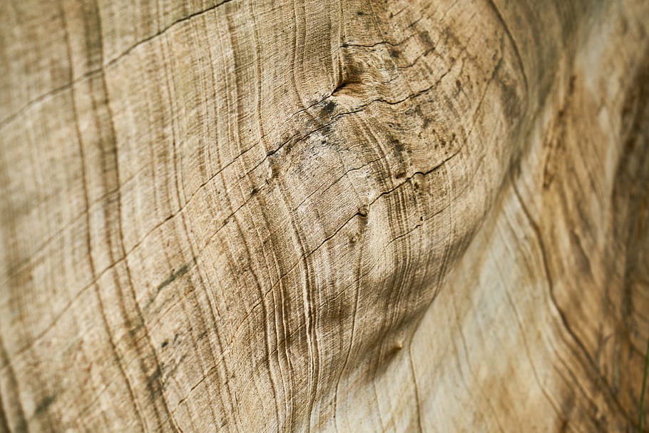brown wood board, abstract, tree, timber, pattern, texture HD wallpaper