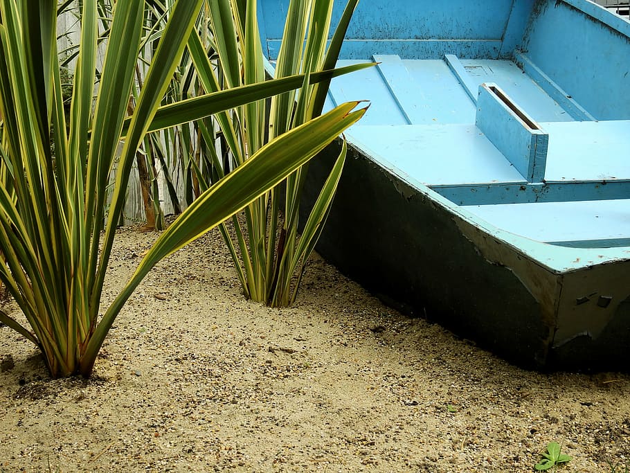 boot, ship, reed, grass, sand, beach, sailing boat, old, no people HD wallpaper