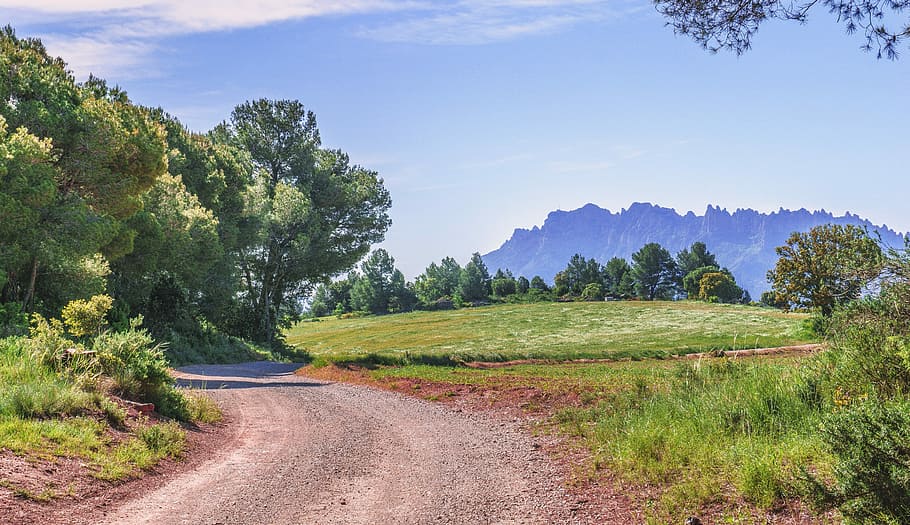 green grass field under blue sky, path, trees, trail, nature HD wallpaper