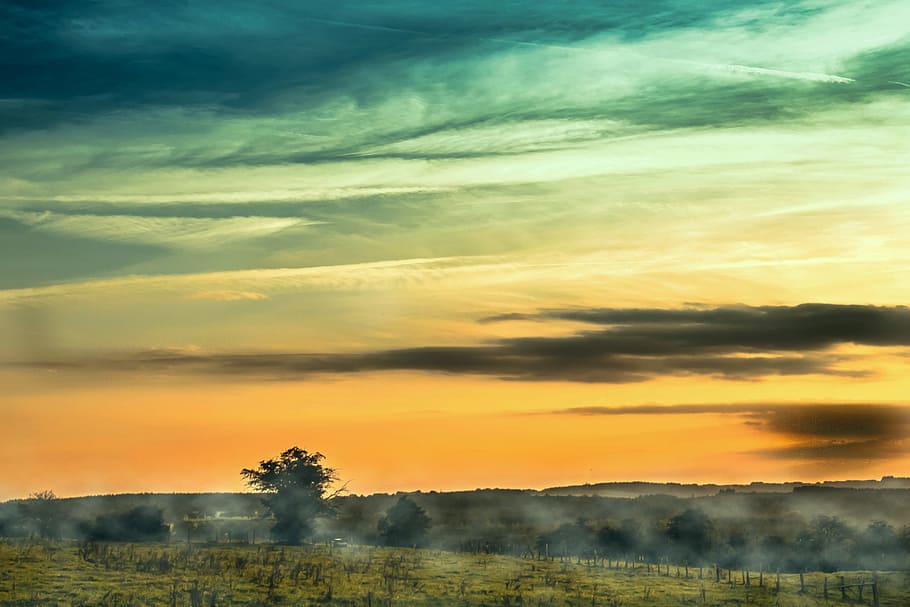 panorama photography of green field, sunset, evening sky, clouds HD wallpaper