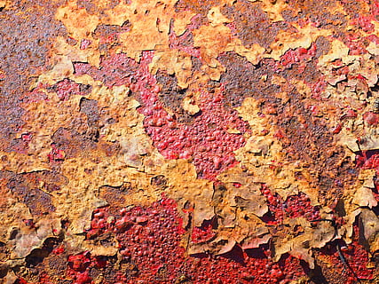 weathered leaves on red ground, textured, background, rust HD wallpaper