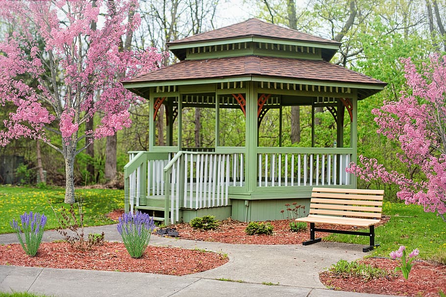 brown wooden bench beside brown and green wooden gazebo surrounded with trees