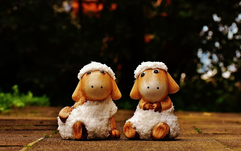 sheep, deco, ceramic, cute, figure, soft toy, wool, face, ungulate HD wallpaper