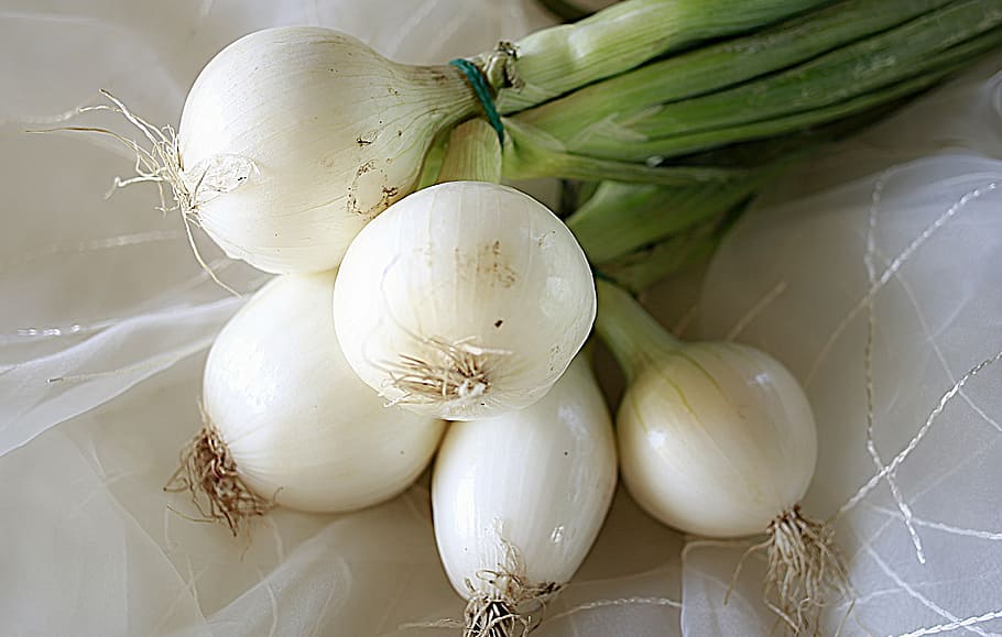 bunch of onions in white cloth, vegetable, power, food, food and drink HD wallpaper