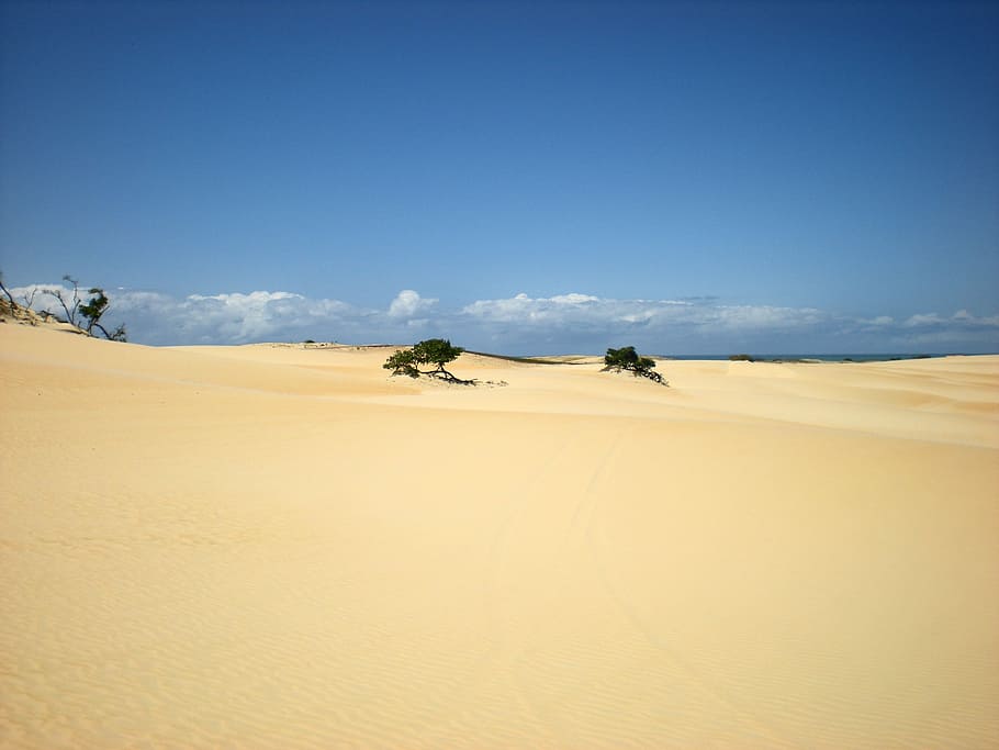Sand Dunes, Light, Nature, sky, desert, arid climate, landscape HD wallpaper