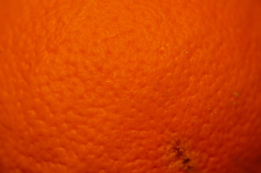 orange, orange peel, fruit, surface, structure, texture, background HD wallpaper