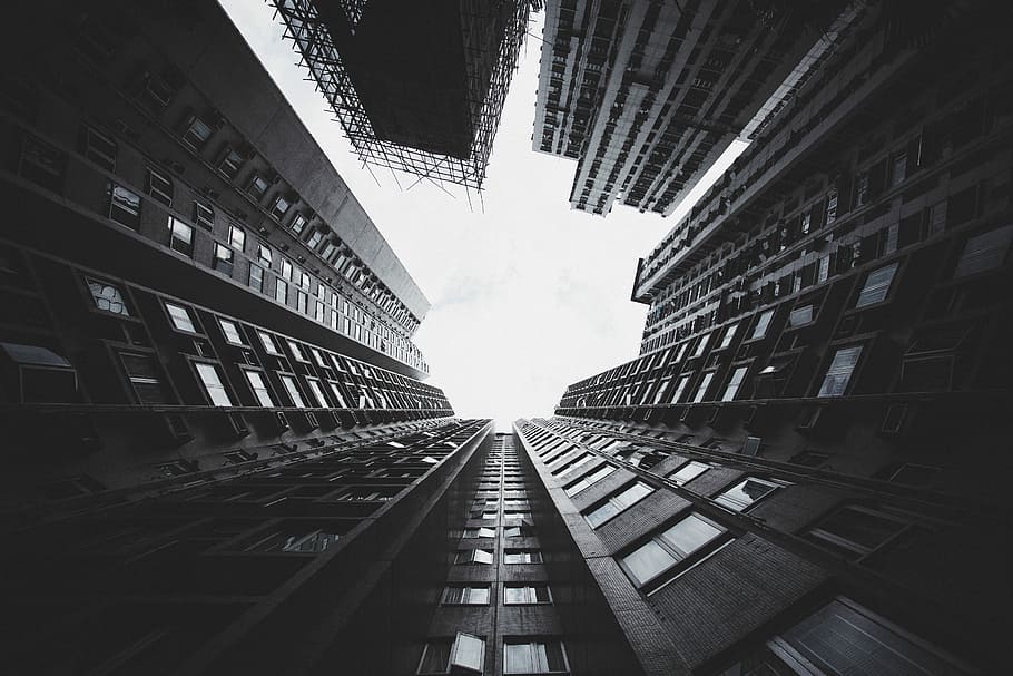 worms eyeview of building, low angle photography of high rise buildings HD wallpaper