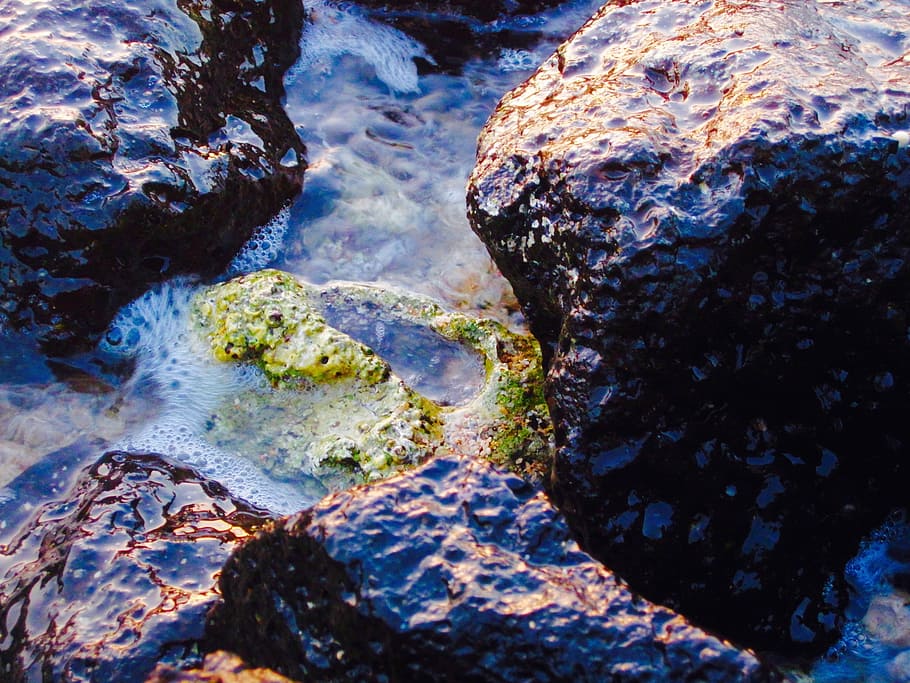 tide pool, shore, ocean, water, rock, nature, stone, marine HD wallpaper