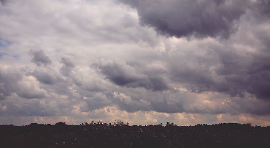 white clouds over field, cloudy sky view, white sea, sea of clouds HD wallpaper