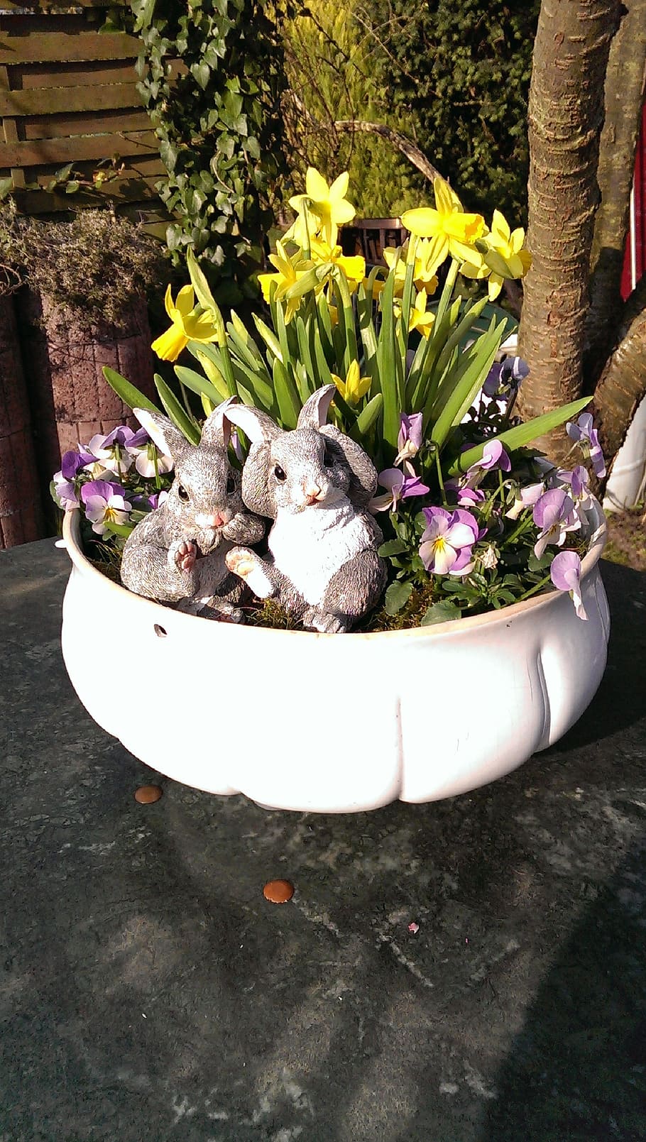 flowerpot, daffodils, yellow, rabbit, easter, decoration, purple HD wallpaper