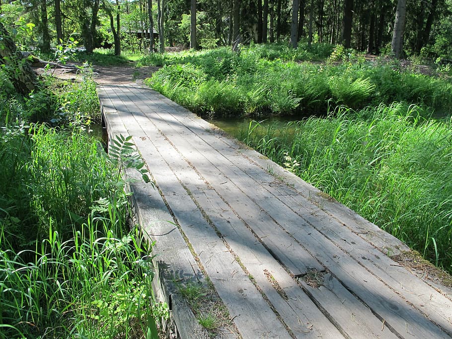 bridge, langinkoski, finnish, eagle, nature, forest, footpath HD wallpaper