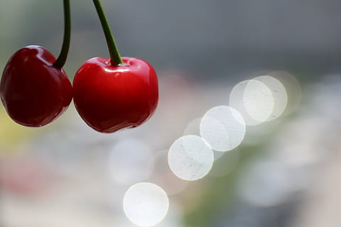 cherry, fruit, joy, receipt, beautiful, ppt backgrounds, red HD wallpaper